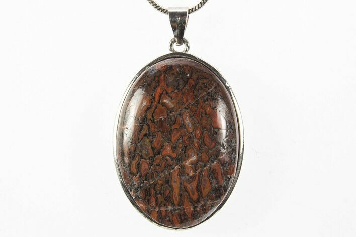 Dinosaur Bone (Gembone) Pendant - Includes Chain #327644